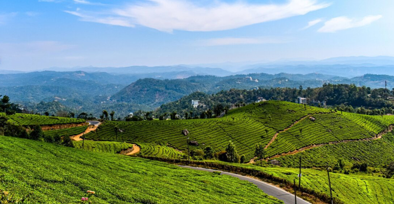 Blissful Tour Vacations | Holiday Package Of Kerala