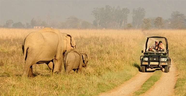  Wildlife To Scenic Hills