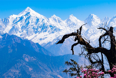  Serene Lake To Himalayan Views